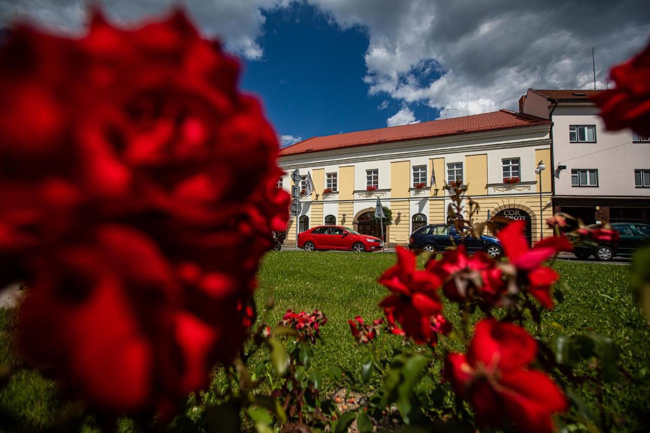 Penzion Satlava Nové Město nad Metují Exterior foto